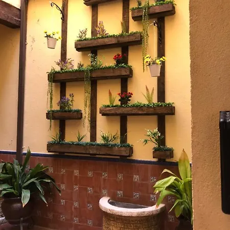 Apartamento Cristo De La Luz *